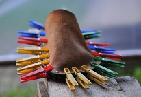 "Kol��kov� verze jeheln��ku..:))"