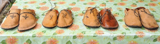 "Kone�n� v�tvory p�ed 30 km testem - zleva: Karel, Pe�ni, Falco, Vl��k"