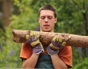 "Inti d�e jak k�� - ilustra�n� foto"