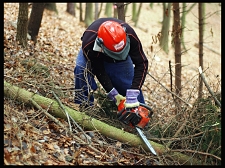 Jako po m�sle...teda po �et�zu...